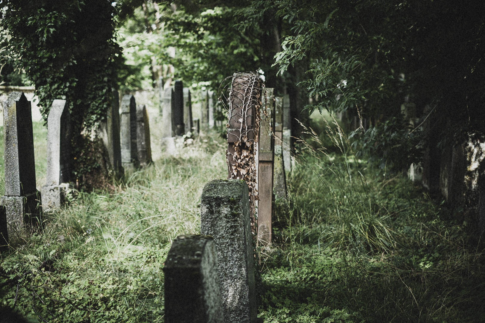 Langenselbold, Jüdischer Friedhof